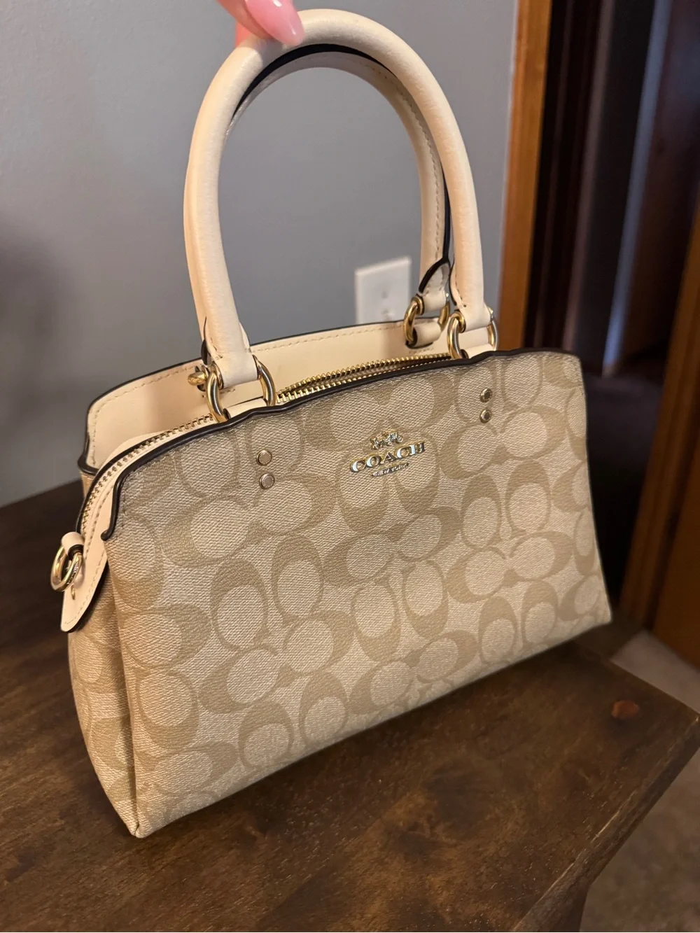 Coach Mini Lillie Carryall
